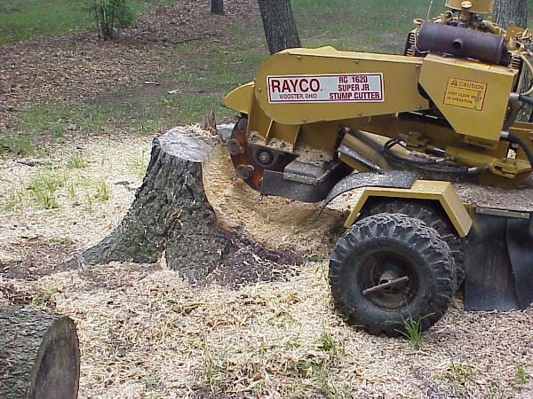 TN Services Skid Steer